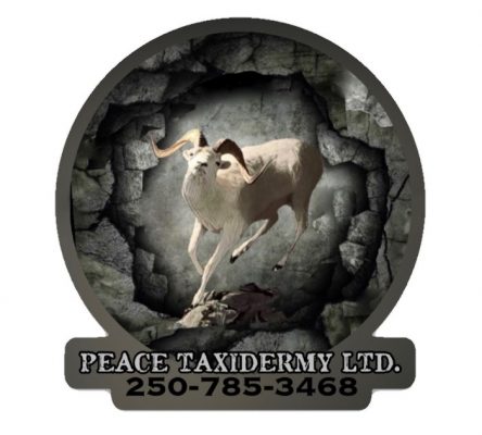 peace taxidermy ltd logo