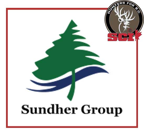 sundher group timber products