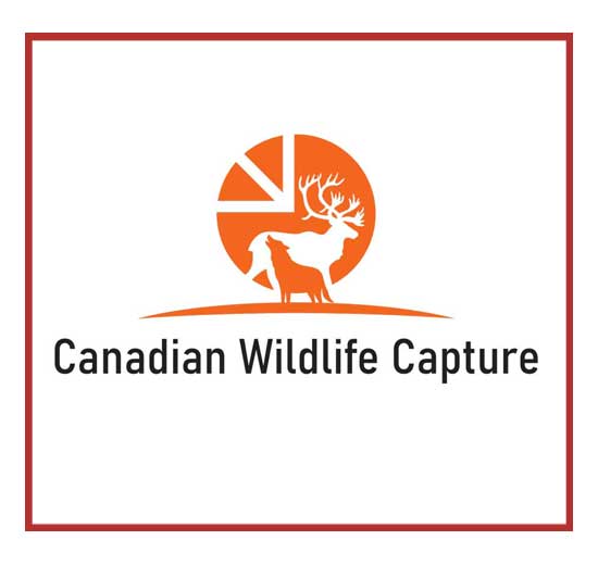 CANADIAN-WILDLIFE-CAPTURE-LOGO