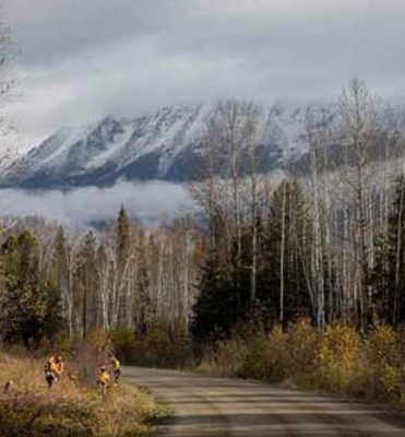 FOREST SERVICE ROAD BRITISH COLUMBIA