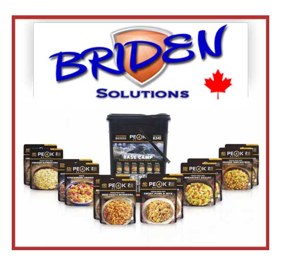 briden-solutions-logo