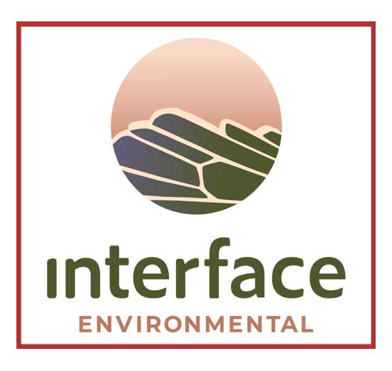 interface-enviro-logo