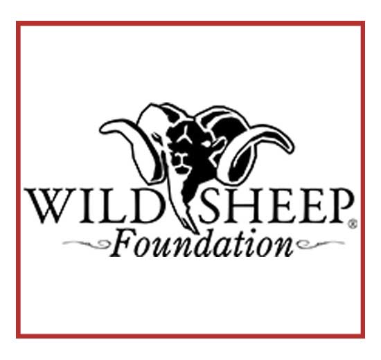 wild-sheep-foundation