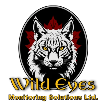 Wild Eyes