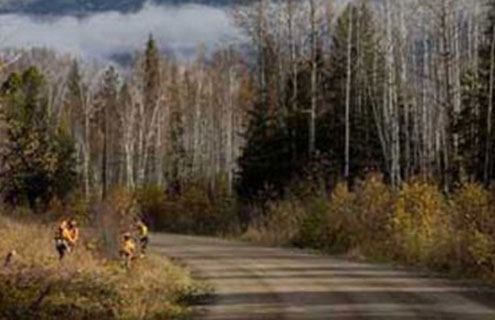 Herbicide Use in British Columbia