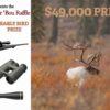 we care about bou caribou optics raffle package