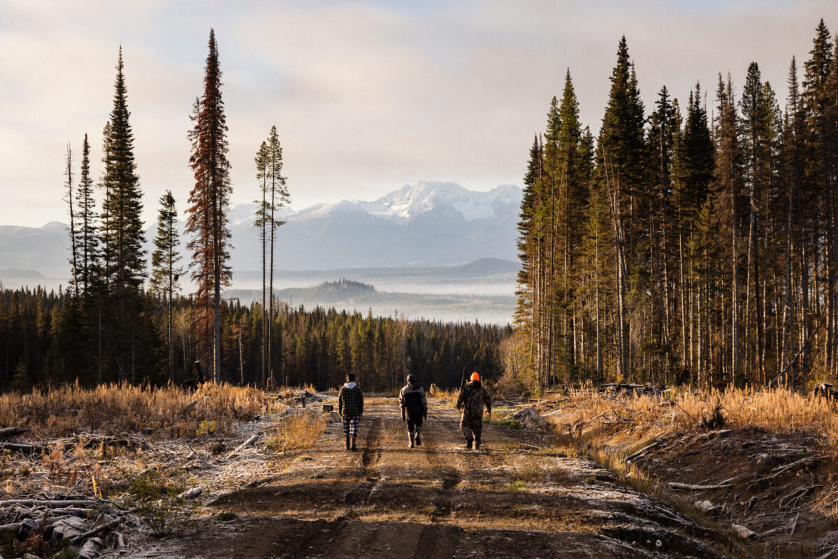 Lake Babine First Nation Moose Enhancement Plan