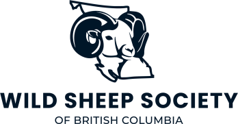 Wild Sheep Society